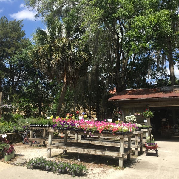 Gainesville Plant Nursery