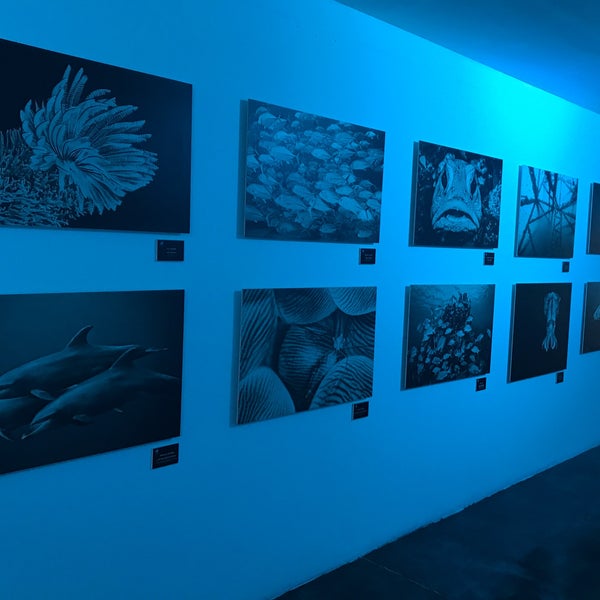 รูปภาพถ่ายที่ Universum, Museo de las Ciencias โดย Ernesto O. เมื่อ 9/24/2019