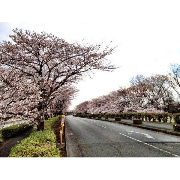 秦野市立中央運動公園 秦野市 神奈川県