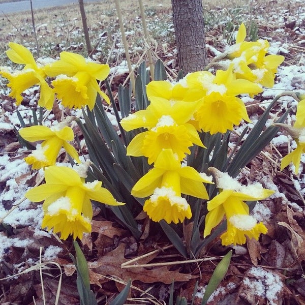 Calvert City, KY City