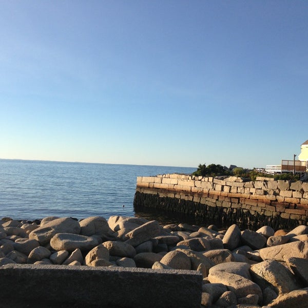Are Dogs Allowed At Halibut Point State Park