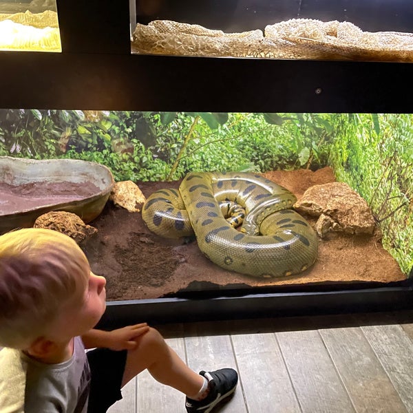 5/7/2022 tarihinde Lana K.ziyaretçi tarafından Wildpark Antalya'de çekilen fotoğraf