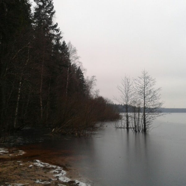 Озеро ройка