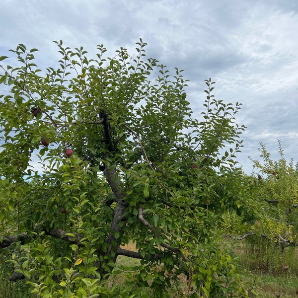 Foto scattata a Smolak Farms da Max S. il 9/25/2022