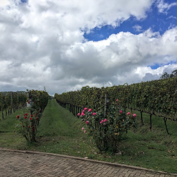 Vinícola Ravanello em Gramado (Rio Grande do Sul) - Mariana Viaja