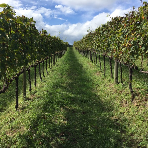 Vinícola Ravanello em Gramado – Dica de tour e degustação 🍷 - Todos os  Caminhos