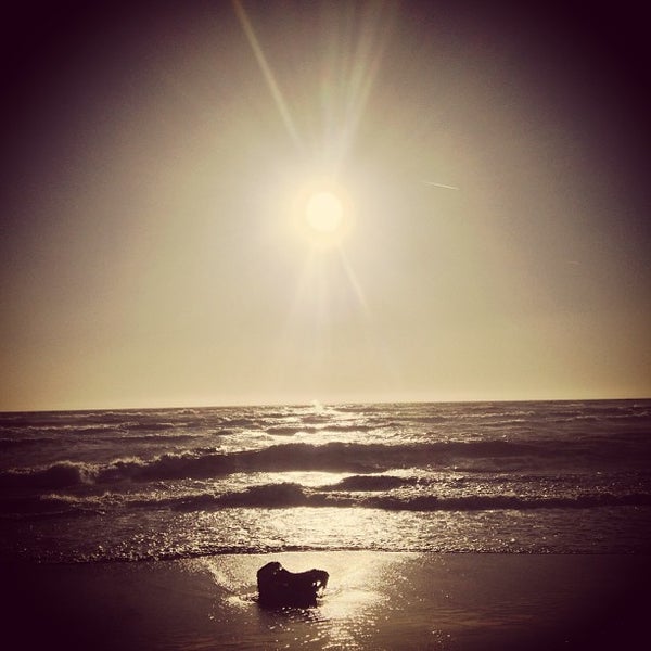 Kiosco Via Silvi Marina 313 A