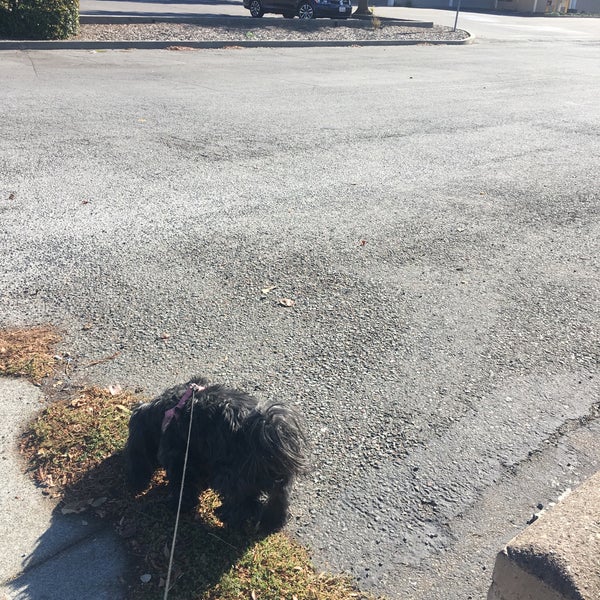 Walgreens 3 tips from 240 visitors