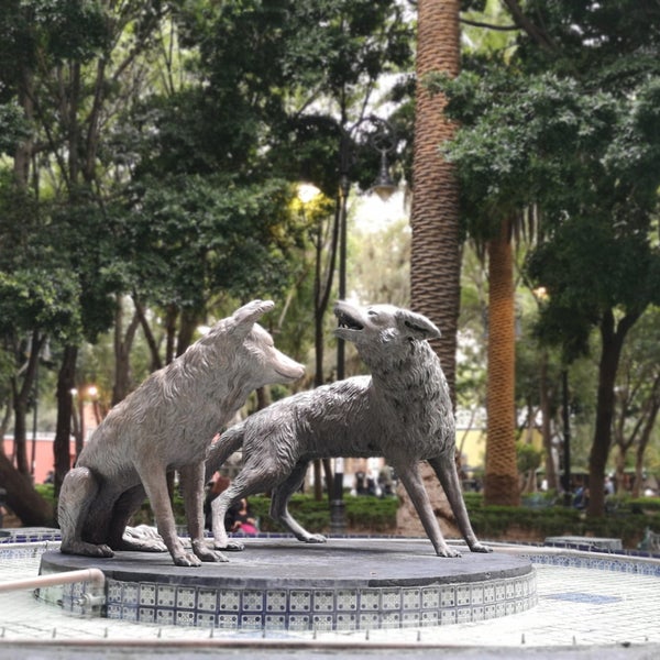 7/10/2018 tarihinde Caminαλεχ 🚶ziyaretçi tarafından Jardín Centenario'de çekilen fotoğraf