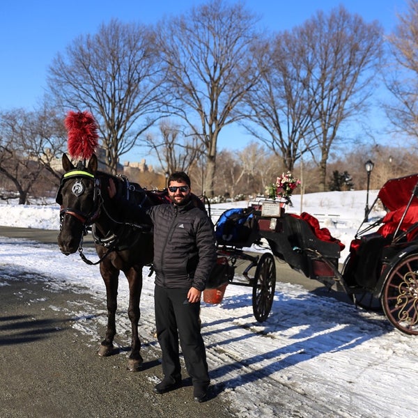 3/6/2015 tarihinde Wziyaretçi tarafından Central Park Carriage Horse Ride&a...
