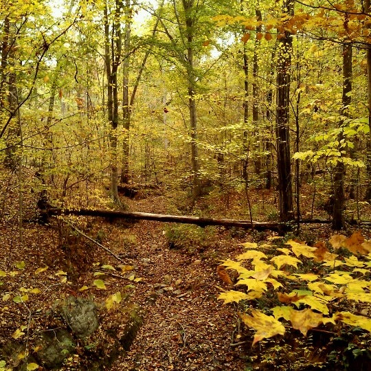 Pickett's Mill Battlefield Historic Site Historic Site