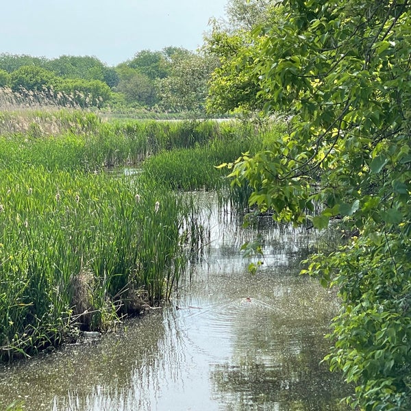 Oakhurst Forest Preserve Aurora, IL