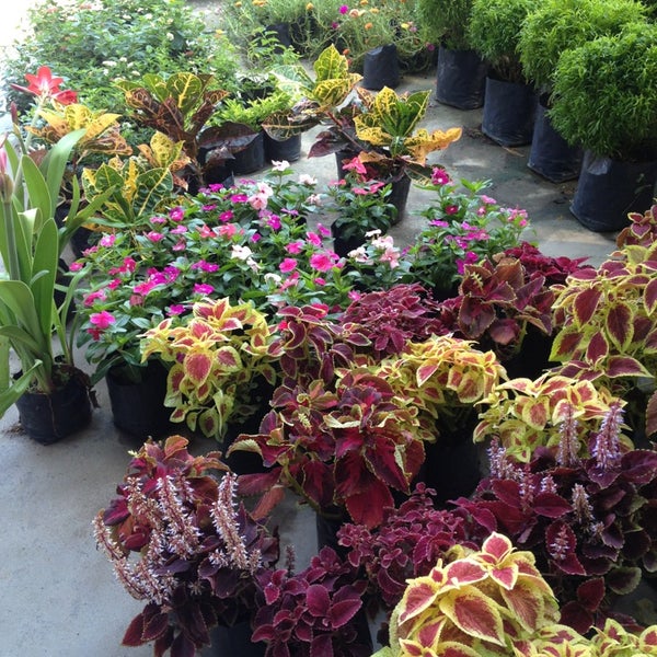 Photos At Bh City Garden 1 Tip