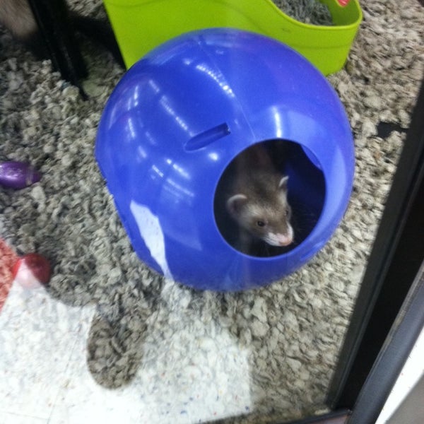 Petco State College, PA