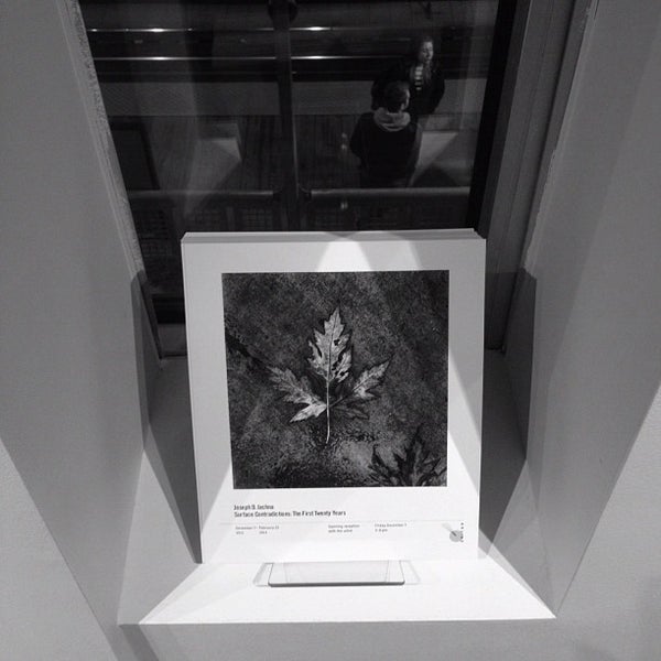 Stephen Daiter Gallery Art Gallery in River North