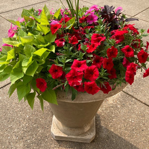 Photos at Glen Ellyn Park District Sunset Pool 2 tips from 127 visitors