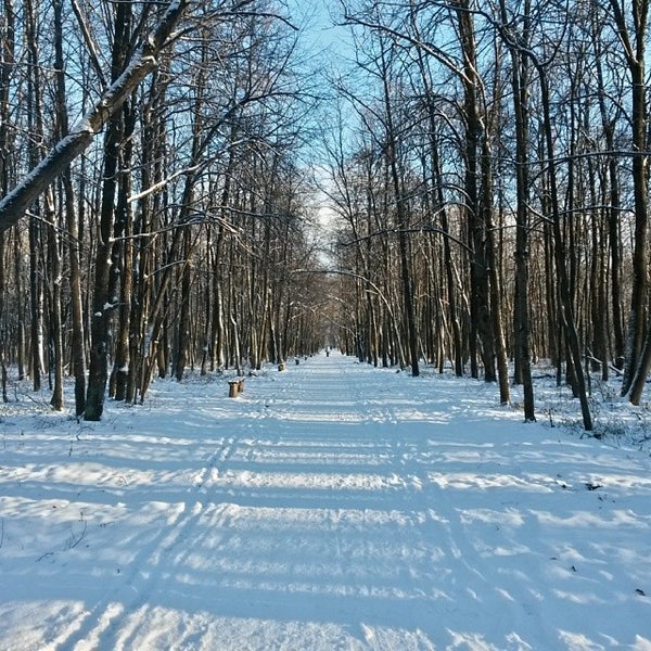 Парк в ленинском районе