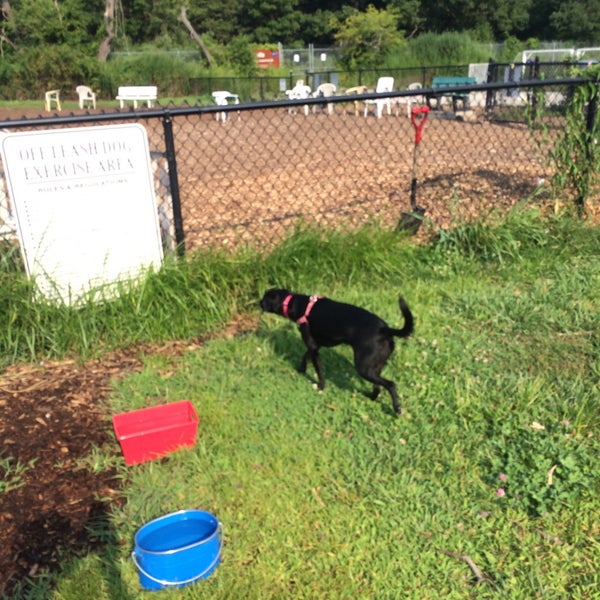 Cherry Ave Dog Park 4 tips from 110 visitors