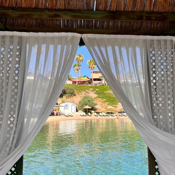 Asteria Bodrum Resort вечеринки