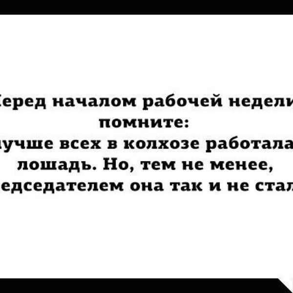 Трудоголик помни лучше всех в колхозе работала лошадь картинка