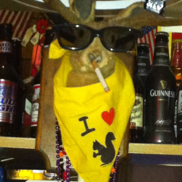 Squirrel Cage Tavern Dive Bar in Lisle