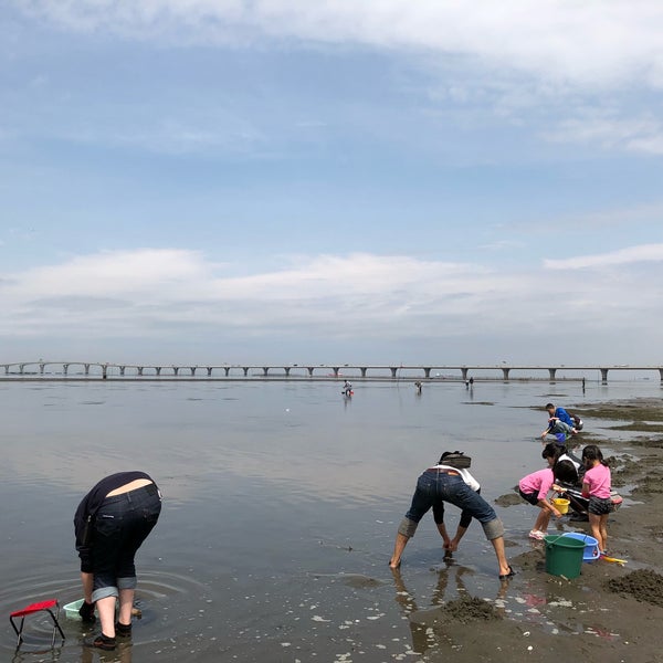 Photos At 金田見立海岸潮干狩場 Beach In 木更津市 Photos At 金田見立海岸潮干狩場 Beach In 木更津市