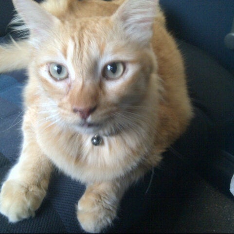 Aeon Credit Service Kuantan Pahang