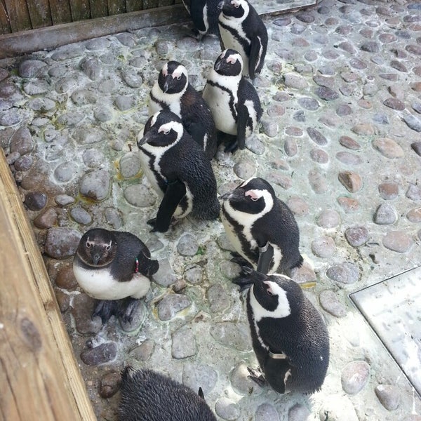 Das Foto wurde bei Hertfordshire Zoo von lianne w. am 3/12/2013 aufgenommen