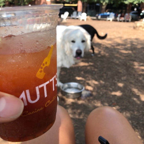 Foto tirada no(a) Mutts Canine Cantina por Melissa M. em 8/29/2020