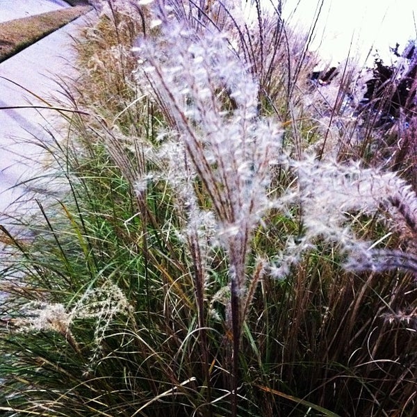Photo taken at Southpark Meadows by Jasmine B. on 12/18/2012