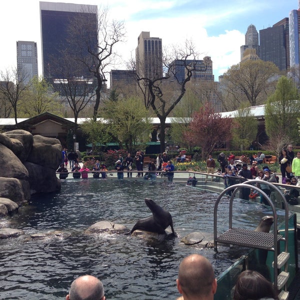 Photo taken at Central Park Zoo by Thomas B. on 4/20/2013
