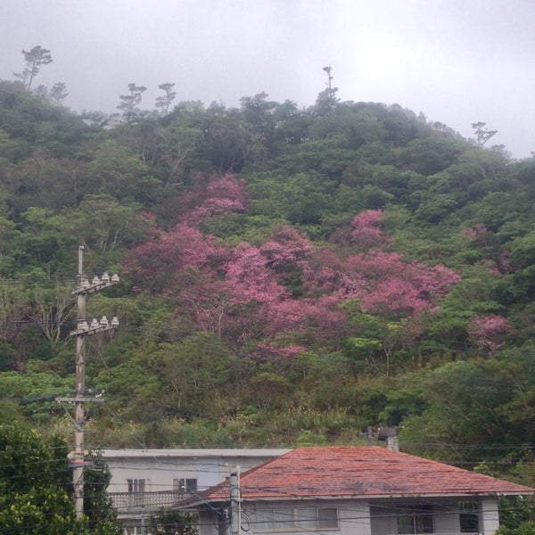 Photos At 芭蕉布会館 大宜味村 沖縄県