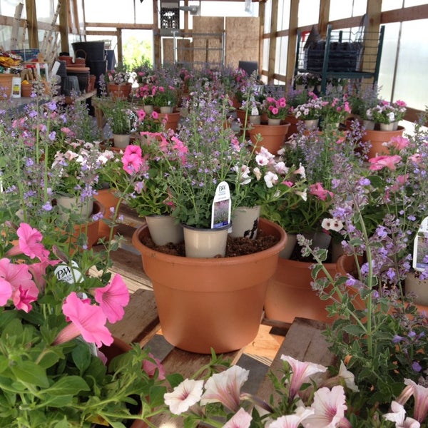Greenwood Nursery Flower Store in Marshall