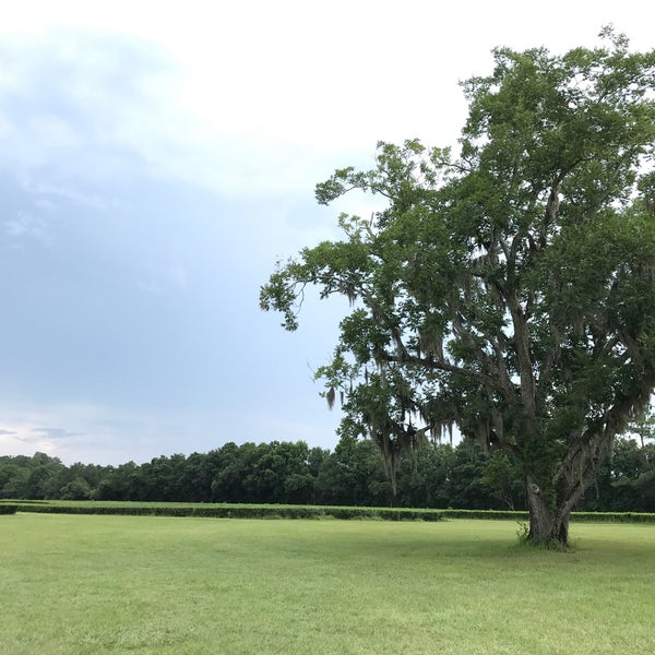 7/27/2018 tarihinde Vonatron L.ziyaretçi tarafından Charleston Tea Plantation'de çekilen fotoğraf