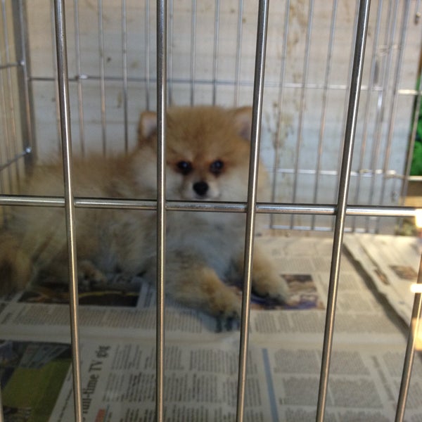 Photos at Kalihi Pet Center Pet Store in Honolulu