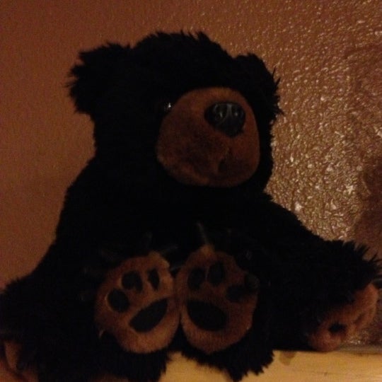black bear diner teddy bear tuesday