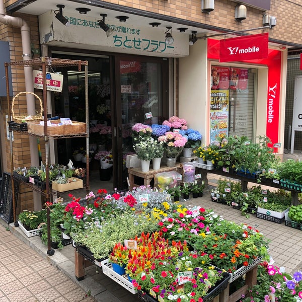 ちとせフラワー 生花店