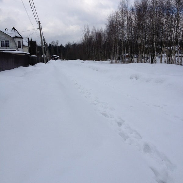 Беговая петелино. Петелино фото. Петелино липецкая область. Беговая петелино. Петелино тульская область.