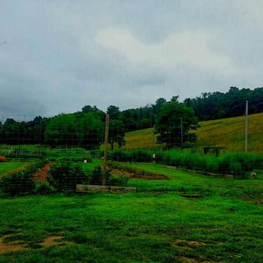 Photo taken at Red Maple Vineyard by Stacy P. on 7/18/2015