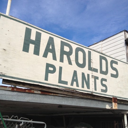 Harold's Indoor Outdoor Plants Flower Shop in New Orleans
