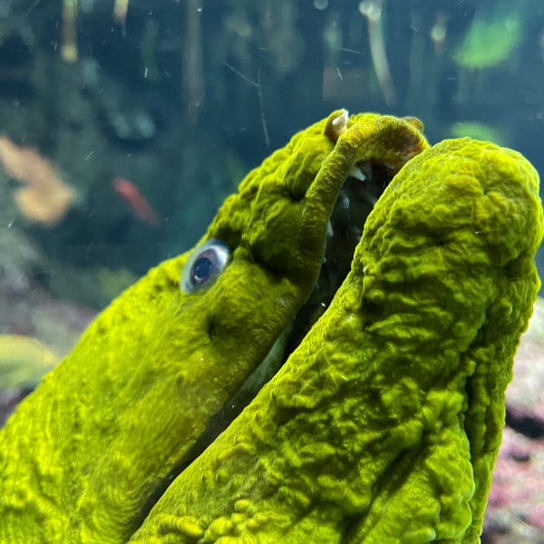 Photo taken at Aquarium Berlin by Konstantin S. on 11/19/2022