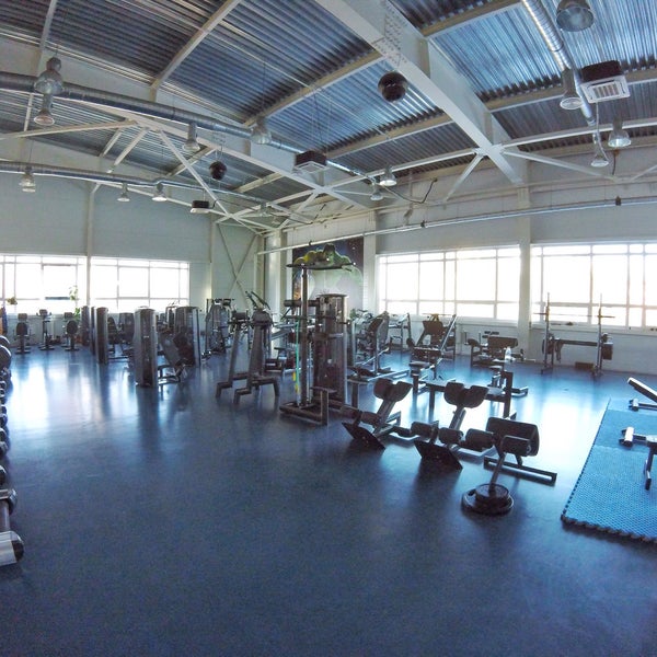 Красноармейск спорт