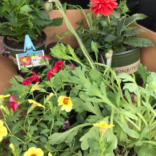 Lowe's Hardware Store