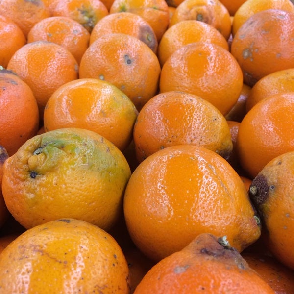 Paul's Fruit Market East Louisville 6 tavsiye'da fotoğraflar