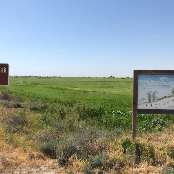 Pixley national wildlife refuge Pixley, CA