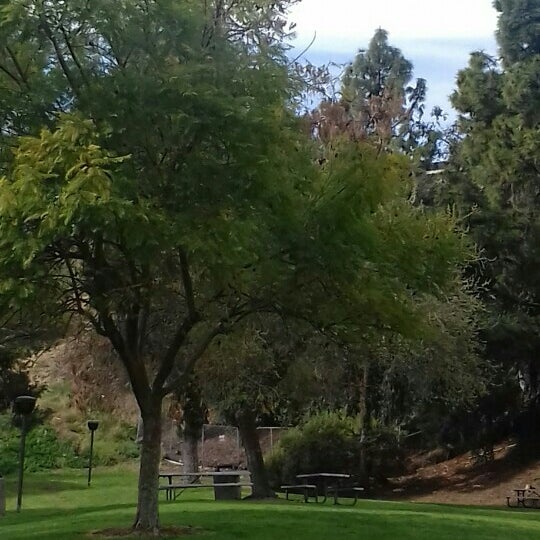 Havens way. Richie havens дискография. Havens way. Havens way. Havens way.