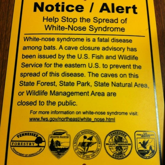 South Cumberland State Park State / Provincial Park in Monteagle