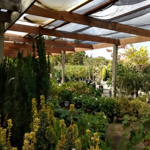 Watson's Greenhouse & Nursery 6211 Pioneer Way E