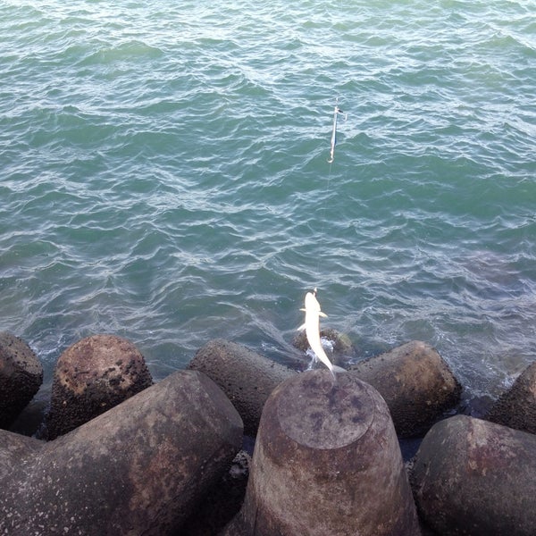 Photos At 熱田漁港 Port