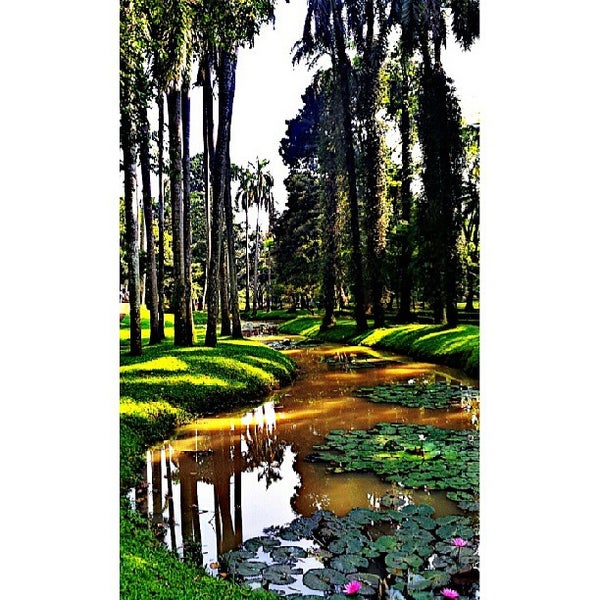 Площадка без бордюра и с бордюром. Hidden park kg. Hidden park. Hidden park. Hidden park kg.